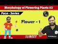 Morphology of flowering plants 03 | Flower - 1 | Class 11 | NEET | Pace Series