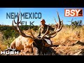 BSY4 | DAY TWO GIANT BULL ELK | S4E22