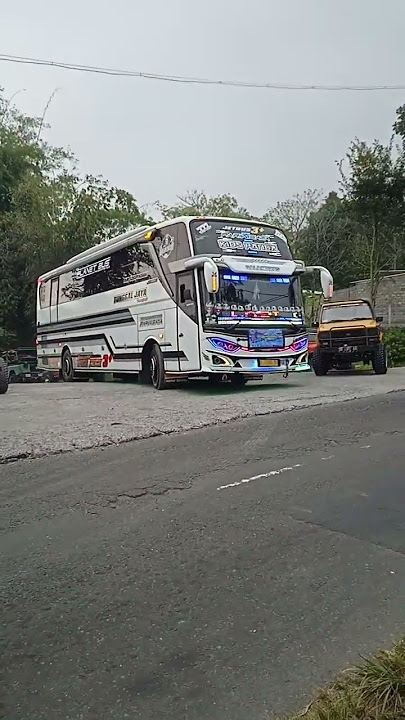 Telolet Basuri Bus Tunggal Jaya 'JUPITER' 'KIDS PANDA' #shorts #youtubeshorts #viral #subscribe