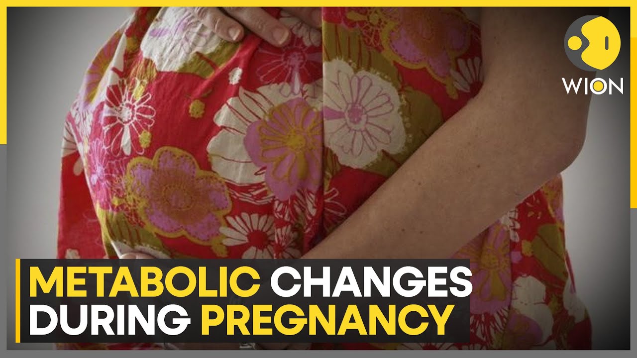 Metabolic changes mapped by scientists to regulate pregnancy health ...