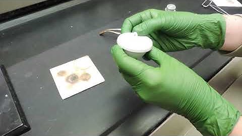 Formula of a Hydrate