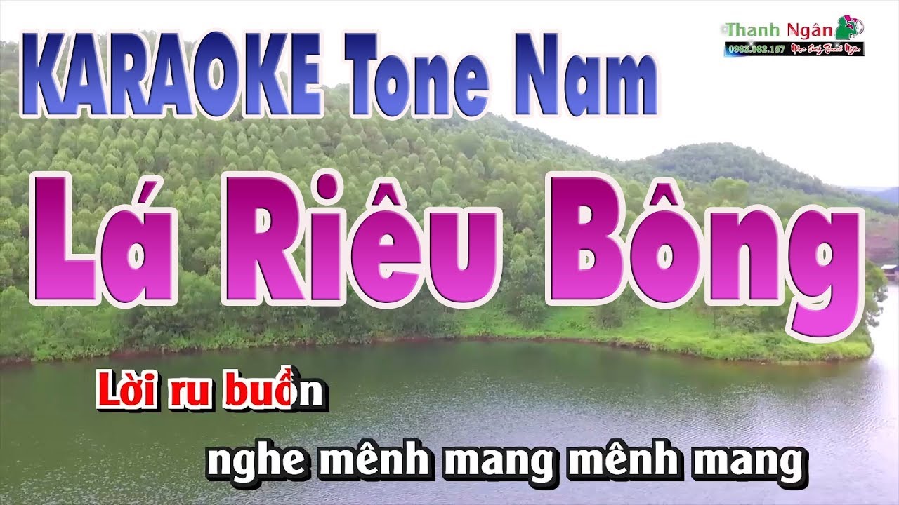 karaoke chat luong cao  Update New  Lá Diêu Bông Karaoke | Beat Chất Lượng Cao ( Tone Nam ) - Nhạc Sống Thanh Ngân