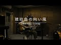 琥珀色の向い風(山崎まさよしcover):Gushima TV SHOW!! vol.12