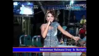 Areva Music - Cidro 2 'Live Polokarto' 2015