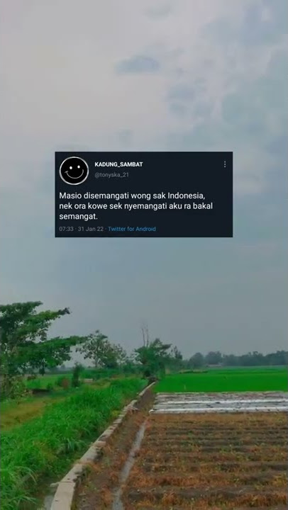 STORY WA 30 DETIK TERBARU || KATA-KATA BIJAK BAHASA JAWA