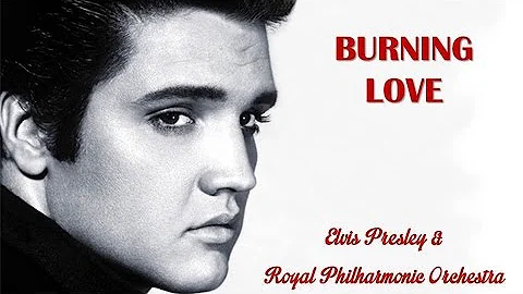 Burning Love   Elvis Presley &  Royal Philharmonic Orchestra (TRADUÇÃO) HD (Lyrics Video)