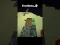 How to get Free Elytra..