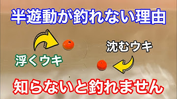 【初心者必見】半遊動が全遊動沈め釣りに勝てない理由を実験しながら解説します【チヌフカセ釣り】