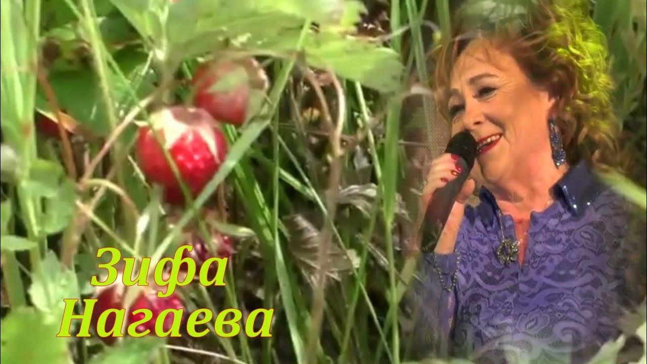 Зифа нагаева биография семья дети