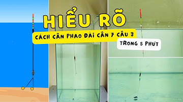 Hiểu Rõ Cân Phao Câu Đài Cân 7 Câu 3 Trong 5 phút