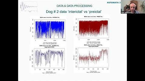 Dr. Victor Iapascuta on Block Decomposition Method for Epileptic Seizure Prediction at AUTOMATA 2020