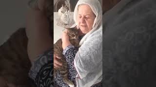 Turkish Humble Old Lady's Love with his cute cat ❤️ by luckyainncats 180 views 1 year ago 1 minute, 31 seconds