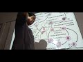 PARÁSITO: MALARIA dra. Arauz