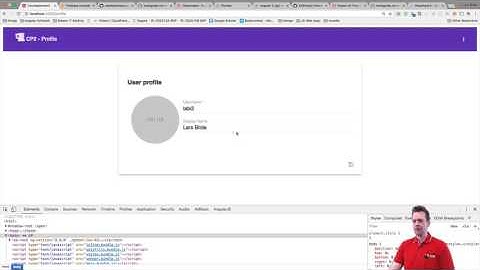 Angular with Firebase part 61 of 70 - Adding image to profile page - seeting up html and css