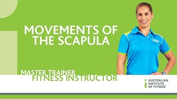 Movements of the Scapula