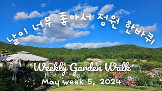 날이 너무 좋아서 정원 한바퀴 / May Garden Walk on a Very Clear Day