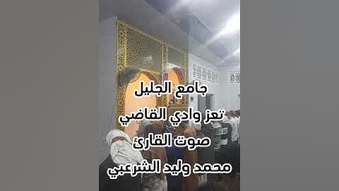 تلاوة رائعة بصوت القارئ محمد وليد الشرعبي إمام جامع الجليل وادي القاضي تعز 