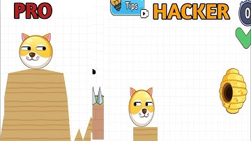 NOOB vs PRO vs HACKER - Save the Doge