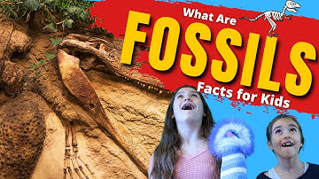 What are Fossils | Fossils For Kids
