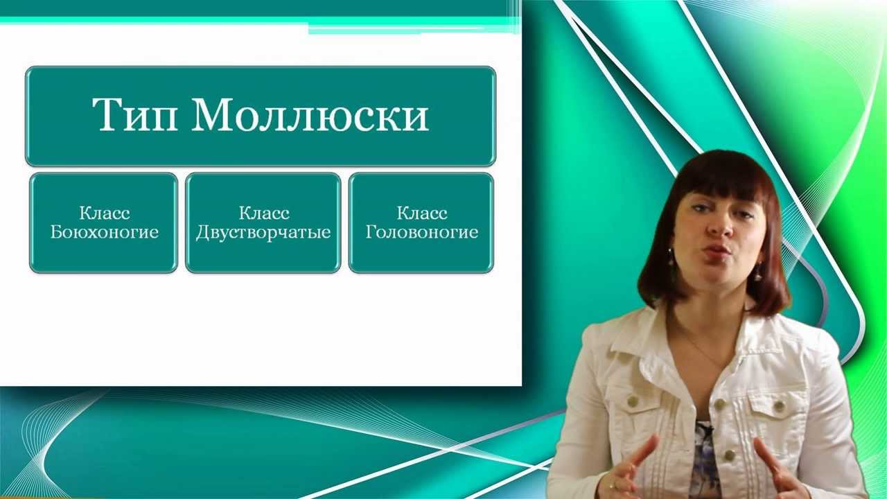Класс биология интернет урок. Уроки биологии с Натальей Поповой.