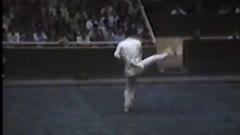 六合螳螂拳　張道錦老師　自選套路　1986年