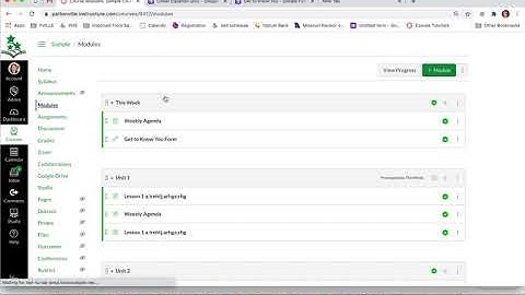 Google Form Embedded in Canvas