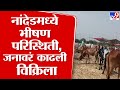 Nanded News | नांदेडमध्ये भीषण परिस्थिती, जनावरं काढली विक्रिला