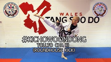 Ki Cho Woon Dong (WTSDA) Roundhouse Kick Tutorial