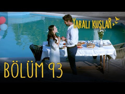 Yaralı Kuşlar 93. Bölüm