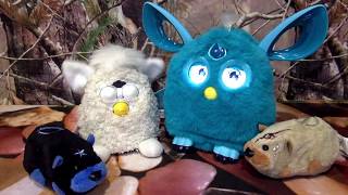 Zhu Zhu Pets *Stonewall* Furby Babies *Lamb* Teal Furby *Connect* And *RockO*
Special friends from Zorua635!
Thanks for watching! If you enjoyed this video Please Like and Subscribe!
https://www.youtube.com/channel/UCarV0beSv3HDreb9dssshPg
For fun with Fijit Friends go here
https://www.youtube.com/watch?v=4hzNEtx0xW4&list=PLjcqfX5Lpa6kWLN64Okv6NuDAWCiwnIeV&fref=gc
For FURBY Fun go here
https://www.youtube.com/watch?v=fv2tJellCVo&list=PLjcqfX5Lpa6nxgGT5k2ossx4rQ4S1nxmB
For More FUN in Furby Forest go here
https://www.youtube.com/watch?v=8qZG24DGt_g&list=PLjcqfX5Lpa6lzZoybXD0QO7FZDTRk1cKc
Thank You So Much For Watching!!! Zhu Zhu Pets *Stonewall* Furby Babies *Lamb* Teal Furby *Connect* And *RockO*
