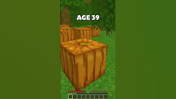 How to Escape Minecraft Traps in Every Age #minecraft #shorts