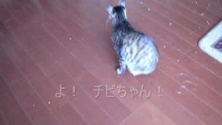 ２００８年10月１４日（火）だよ！