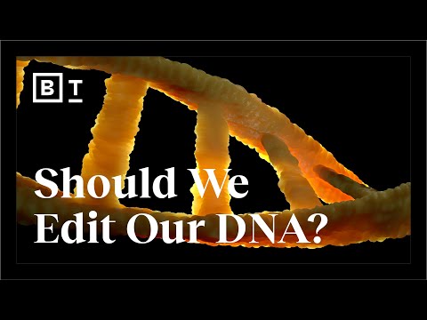 Mixing human + animal DNA and the future of gene editing | Big Think