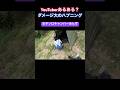 襲撃に遭う #shorts