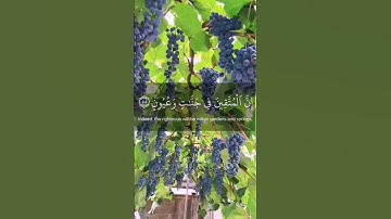 { ان المتقين في جنات وعيون } الآية 45 من سورة الحجر / القارئ هزاع البلوشي