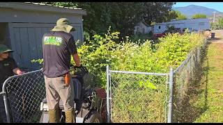 We Spent 4 Hours Restoring a Backyard for a Family in Need