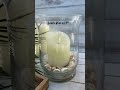 Simple Summer Charm: Seashell Candle Idea