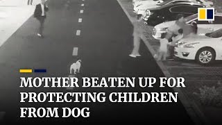 Mother beaten up for protecting children from unleashed dog in China