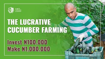 Why Cucumber Farming is the Best Business Opportunity in Nigeria Right Now 💥