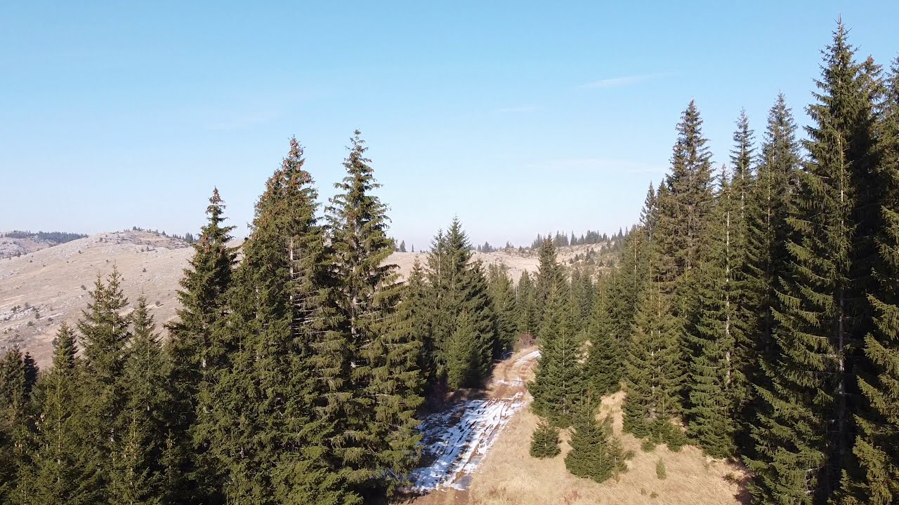 PROŠĆENSKE PLANINE PRVI DIO