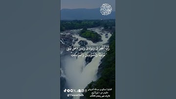 ماتيسر من سورة نوح (تلاوات شهر رمضان ١٤٤٥) | فضيلة القارئ الشيخ : صالح بن عبدالله القريشي