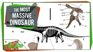 The Most Massive Dinosaur, and Are Earthquakes Contagious?