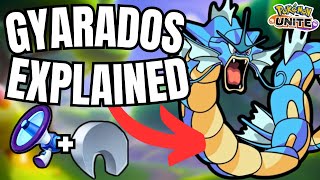 Gyarados Explained - How it Works