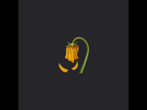 قلبي بعدك ماهو بخير