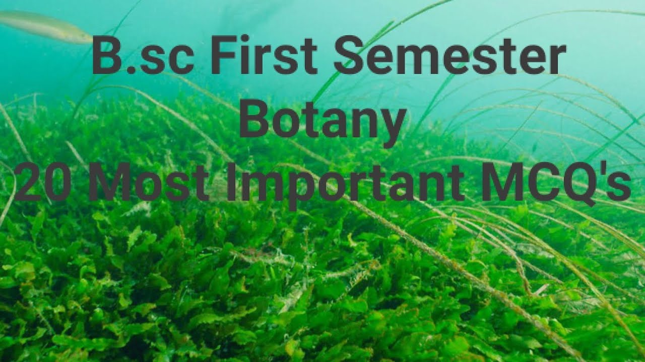 B.sc 1st semester Botany MCQ on Algae 