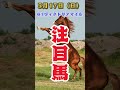g1ヴィクトリアマイル当日　中央競馬予想　5月17日　注目馬#shorts