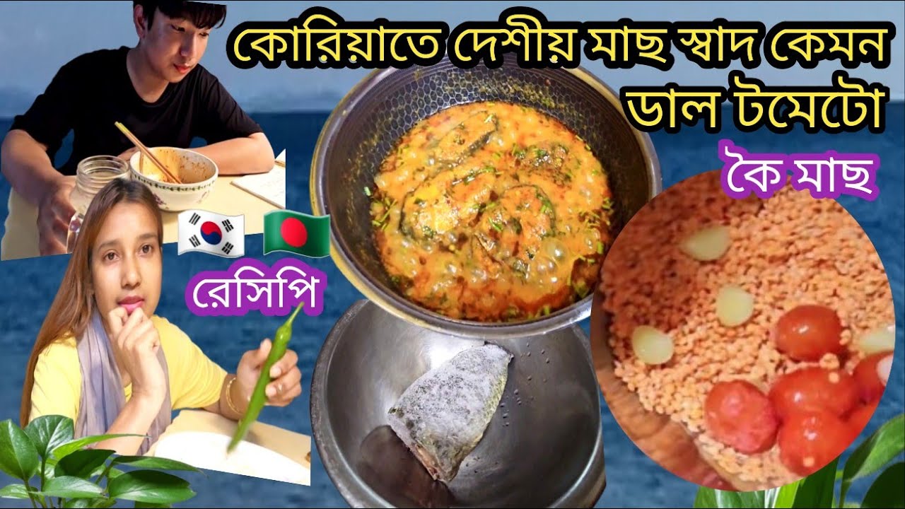 কোরিয়াতে কৈ মাছ রসা স্বাদ কতদিনের পুরানো / ডাল টমেটো রেসিপি / জিয়ুর বিয়ের গল্প / সমুদ্রের পাড়ে