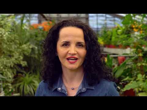 Video: Zelené Plodiny V Záhrade. Časť 3