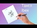 Как нарисовать тангл ibex