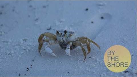 VIC3001 Module 3 Activity 2